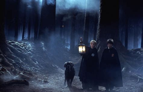 Forbidden forest harry potter - Dec 13, 2019 · According to the Harry Potter canon, there are five cursed vaults hidden in and around Hogwarts. It makes sense that one of them would be in the Forbidden Forest, the home of all dark creatures in the vicinity. During the late 1970s, a sleepwalking curse was cast upon the students of Hogwarts after the Forest Vault was disturbed. 